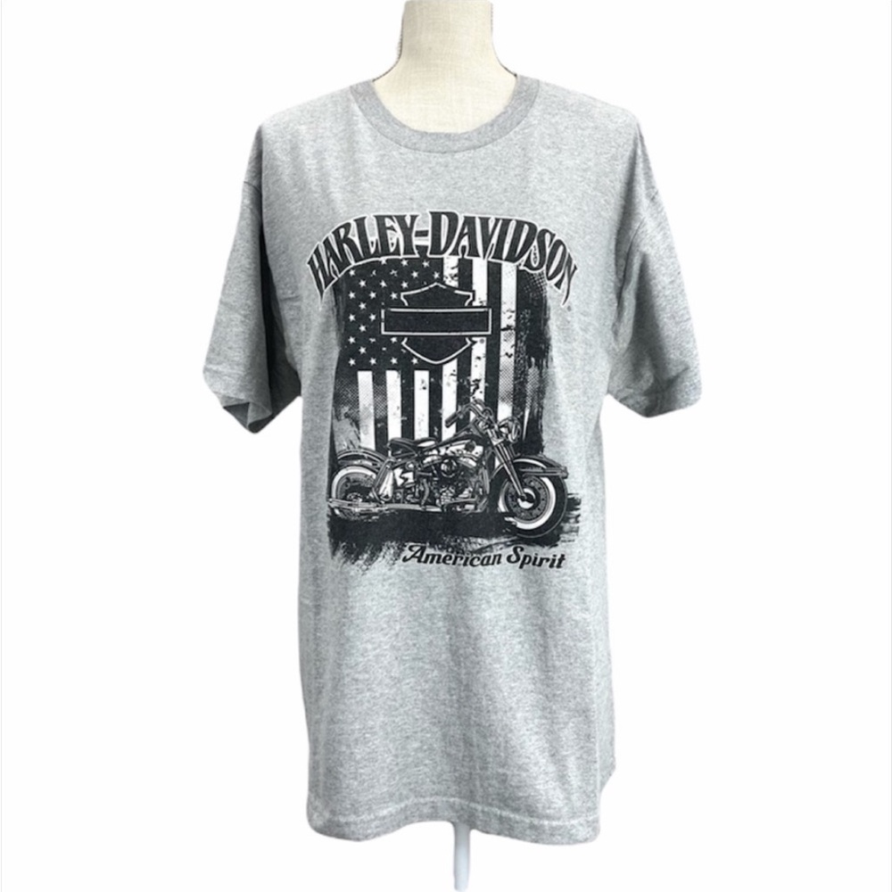 HARLEY-DAVIDSON Men’s/Unisex Gray Short Sleeve Graphic Tee Shirt Size Large